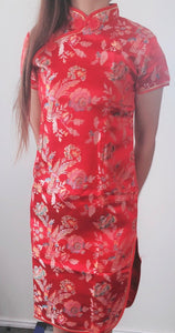 Girls Teen Chinese Traditional QIPAO Costume Tunic Short Sleeve cheong Dress