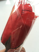 Women Sexy Valentine's Day Gift Novelty Rose RED G-string Pantie Thong Lingerie