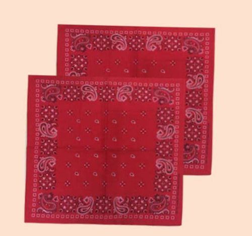 2 Women Girls Hip hop Cotton Paisley dance Red Bandana Hair Headband Wrap Scarf