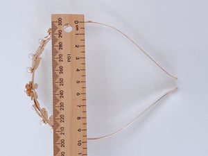 Women Girl Gold Rose Pearl Leaf Party Hair Head Band Headband Hoop headpiece