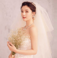 Women Lady Dark Ivory Bride champagne Beige Wedding Hair head Veil WITH COMB